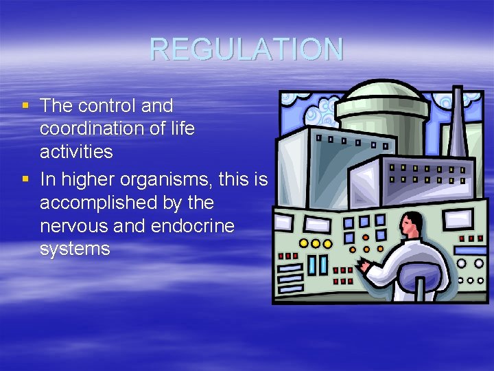 REGULATION § The control and coordination of life activities § In higher organisms, this