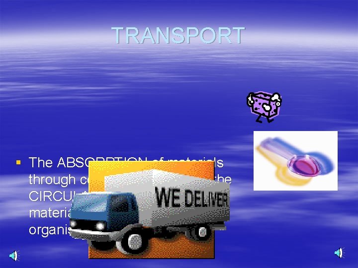 TRANSPORT § The ABSORPTION of materials through cell membranes, and the CIRCULATION or distribution