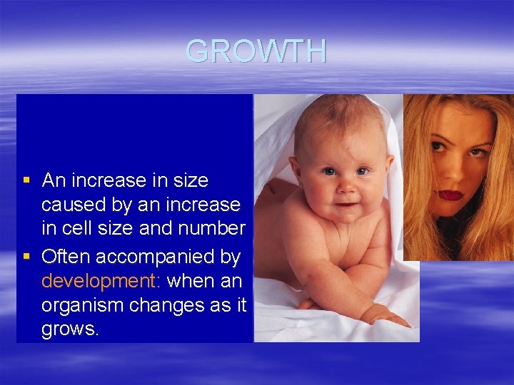 GROWTH § An increase in size caused by an increase in cell size and