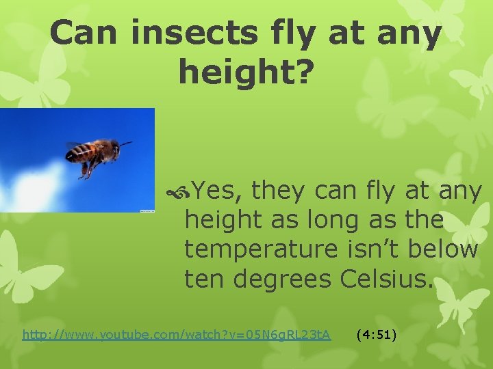 Can insects fly at any height? Yes, they can fly at any height as