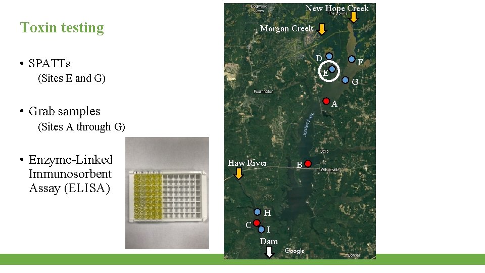 New Hope Creek Toxin testing Morgan Creek D • SPATTs E (Sites E and