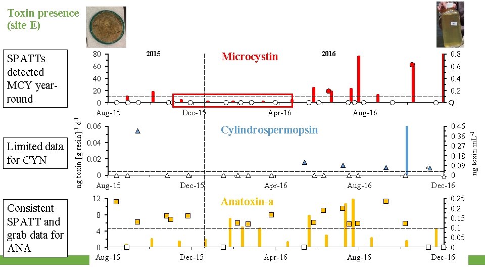 Toxin presence (site E) Consistent SPATT and grab data for ANA Microcystin 60 0.