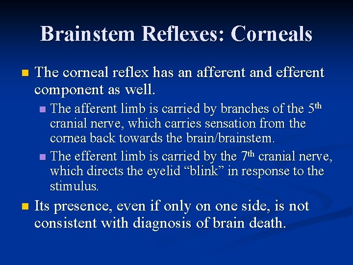 Brainstem Reflexes: Corneals n The corneal reflex has an afferent and efferent component as