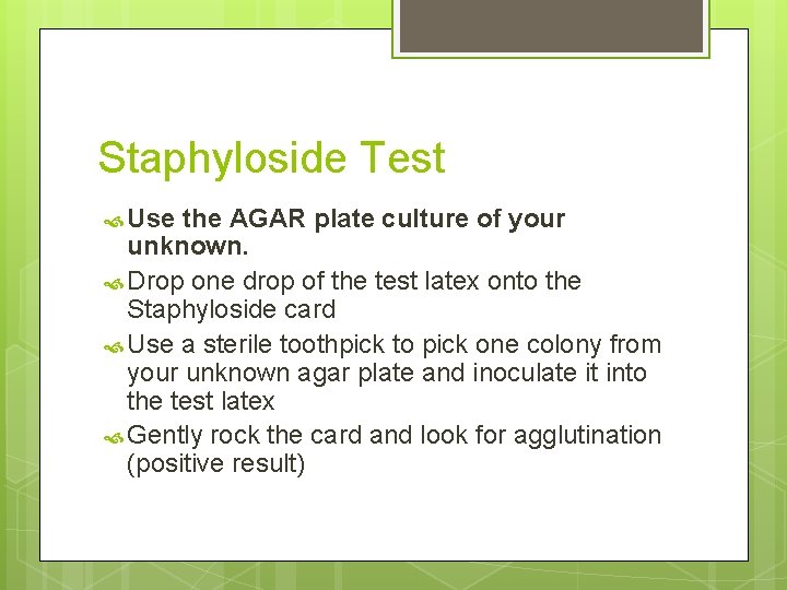 Staphyloside Test Use the AGAR plate culture of your unknown. Drop one drop of
