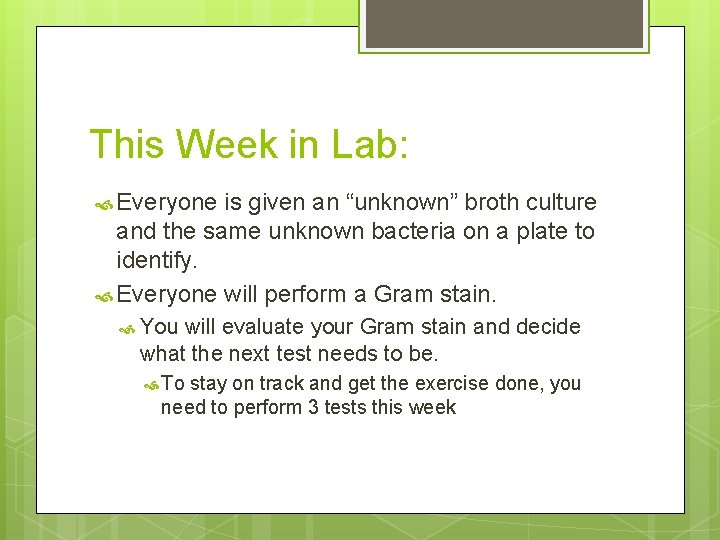 This Week in Lab: Everyone is given an “unknown” broth culture and the same