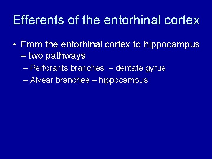 Efferents of the entorhinal cortex • From the entorhinal cortex to hippocampus – two Efferents of the entorhinal cortex • From the entorhinal cortex to hippocampus – two
