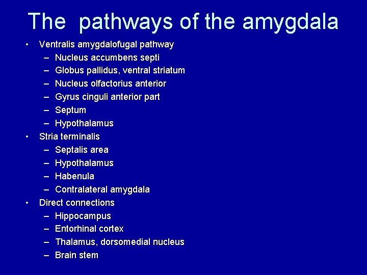 The pathways of the amygdala • • • Ventralis amygdalofugal pathway – Nucleus accumbens The pathways of the amygdala • • • Ventralis amygdalofugal pathway – Nucleus accumbens