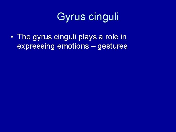 Gyrus cinguli • The gyrus cinguli plays a role in expressing emotions – gestures Gyrus cinguli • The gyrus cinguli plays a role in expressing emotions – gestures