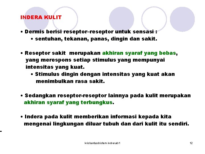- INDERA KULIT • Dermis berisi reseptor–reseptor untuk sensasi : • sentuhan, tekanan, panas,