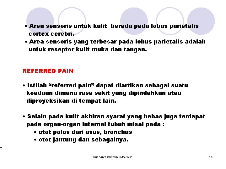- • Area sensoris untuk kulit berada pada lobus parietalis cortex cerebri. • Area