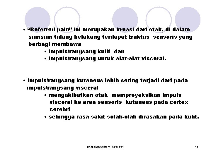  • “Referred pain” ini merupakan kreasi dari otak, di dalam sumsum tulang belakang