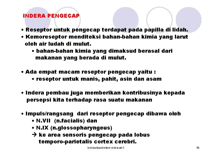  INDERA PENGECAP • Reseptor untuk pengecap terdapat pada papilla di lidah. • Kemoreseptor