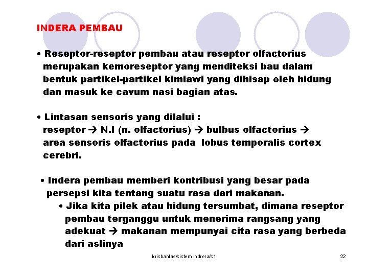 INDERA PEMBAU • Reseptor-reseptor pembau atau reseptor olfactorius merupakan kemoreseptor yang menditeksi bau dalam