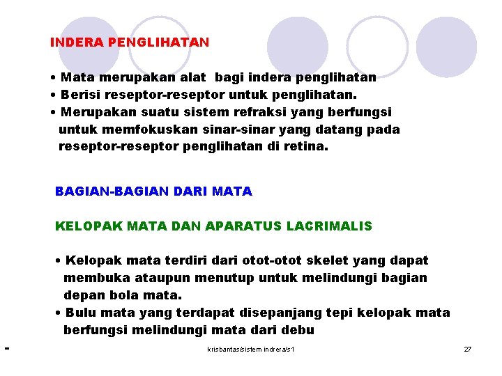 INDERA PENGLIHATAN • Mata merupakan alat bagi indera penglihatan • Berisi reseptor-reseptor untuk penglihatan.