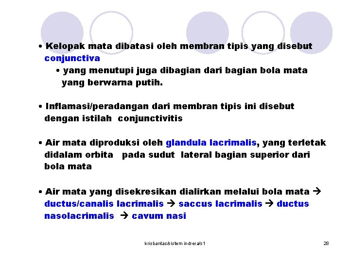  • Kelopak mata dibatasi oleh membran tipis yang disebut conjunctiva • yang menutupi