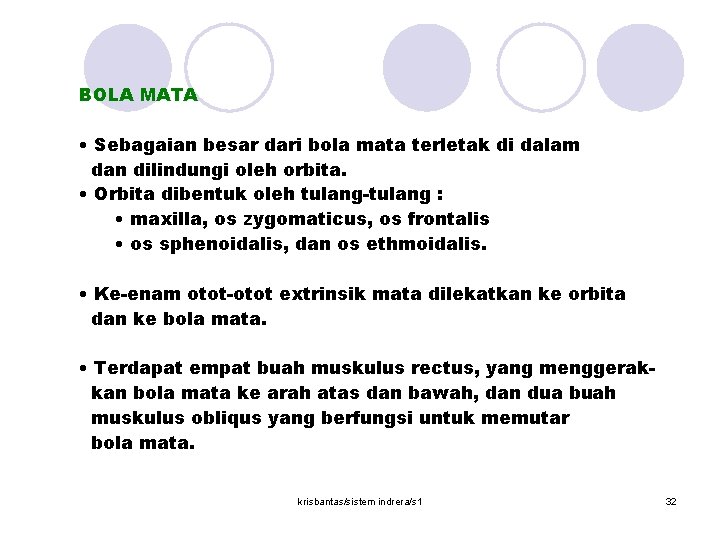 BOLA MATA • Sebagaian besar dari bola mata terletak di dalam dan dilindungi oleh