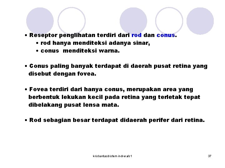  • Reseptor penglihatan terdiri dari rod dan conus. • rod hanya menditeksi adanya