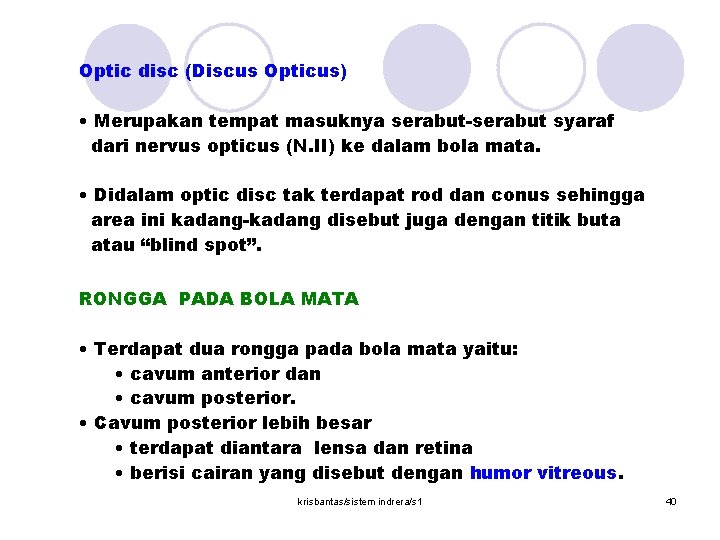 Optic disc (Discus Opticus) • Merupakan tempat masuknya serabut-serabut syaraf dari nervus opticus (N.