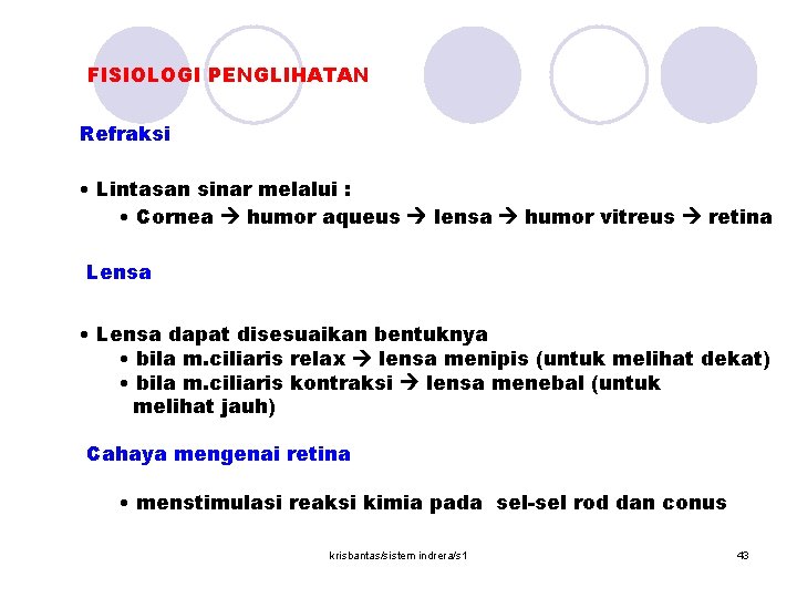  FISIOLOGI PENGLIHATAN Refraksi • Lintasan sinar melalui : • Cornea humor aqueus lensa