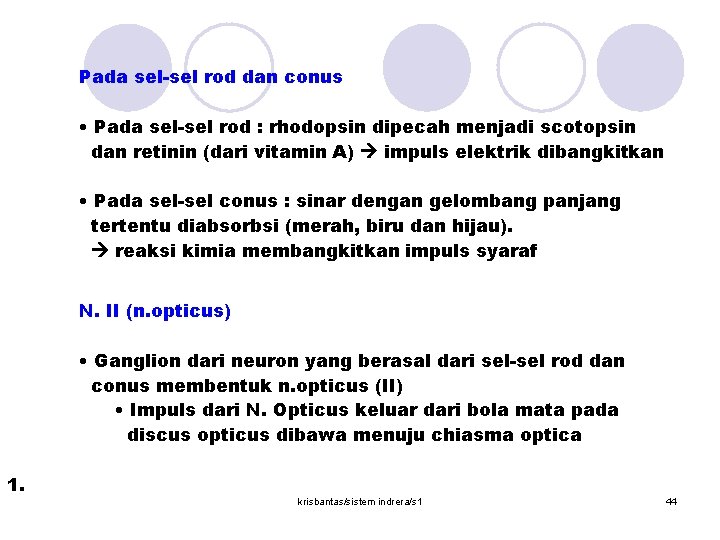 Pada sel-sel rod dan conus • Pada sel-sel rod : rhodopsin dipecah menjadi scotopsin