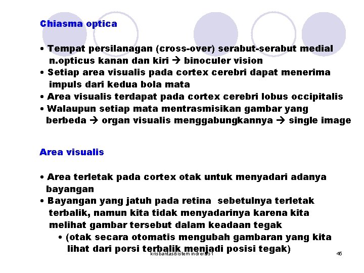 Chiasma optica • Tempat persilanagan (cross-over) serabut-serabut medial n. opticus kanan dan kiri binoculer