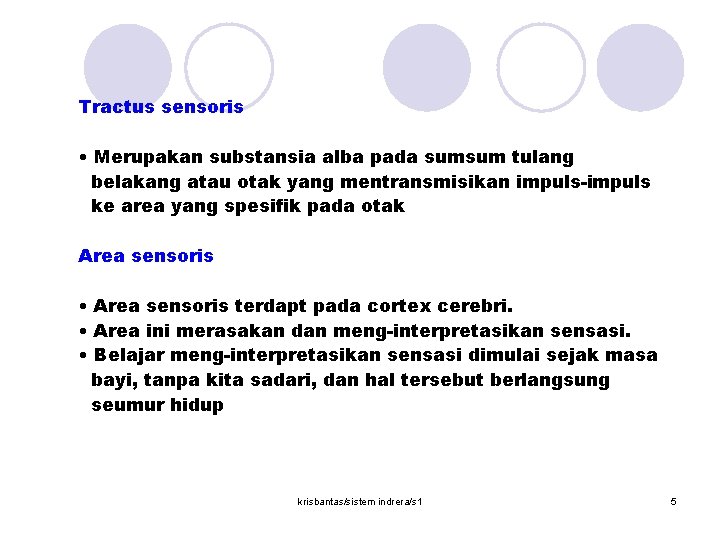 Tractus sensoris • Merupakan substansia alba pada sumsum tulang belakang atau otak yang mentransmisikan