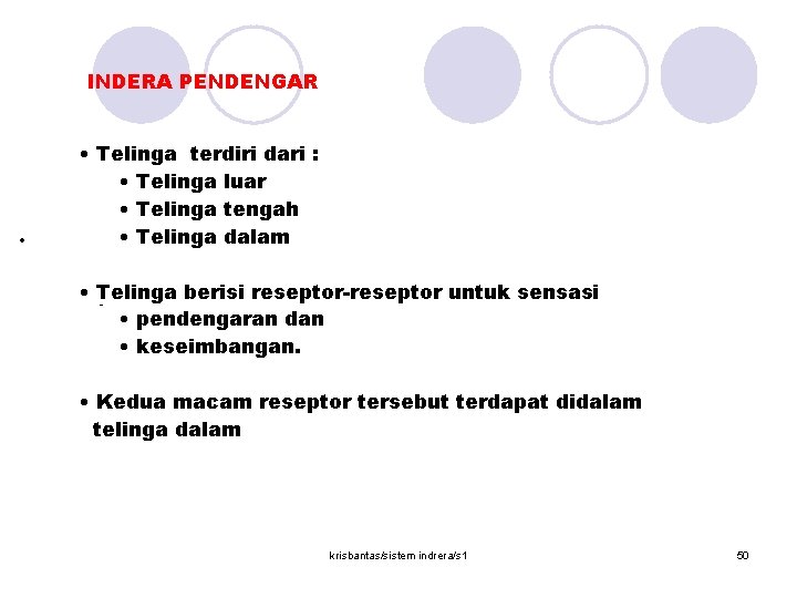  INDERA PENDENGAR · • Telinga terdiri dari : • Telinga luar • Telinga