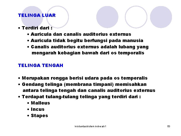  TELINGA LUAR • Terdiri dari : • Auricula dan canalis auditorius externus •