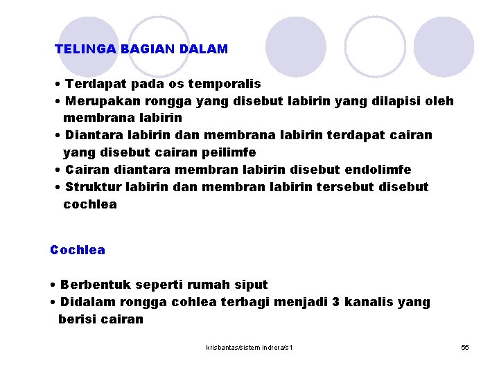 TELINGA BAGIAN DALAM • Terdapat pada os temporalis • Merupakan rongga yang disebut labirin