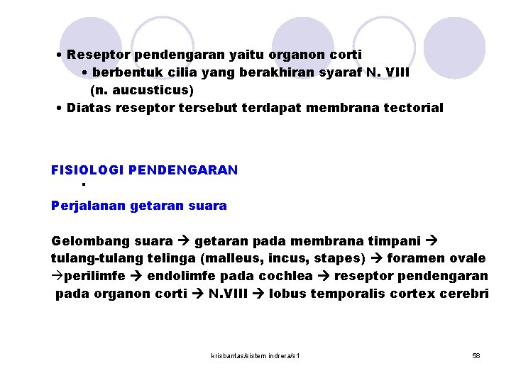  • Reseptor pendengaran yaitu organon corti • berbentuk cilia yang berakhiran syaraf N.