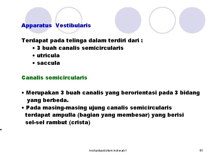 · Apparatus Vestibularis Terdapat pada telinga dalam terdiri dari : • 3 buah canalis
