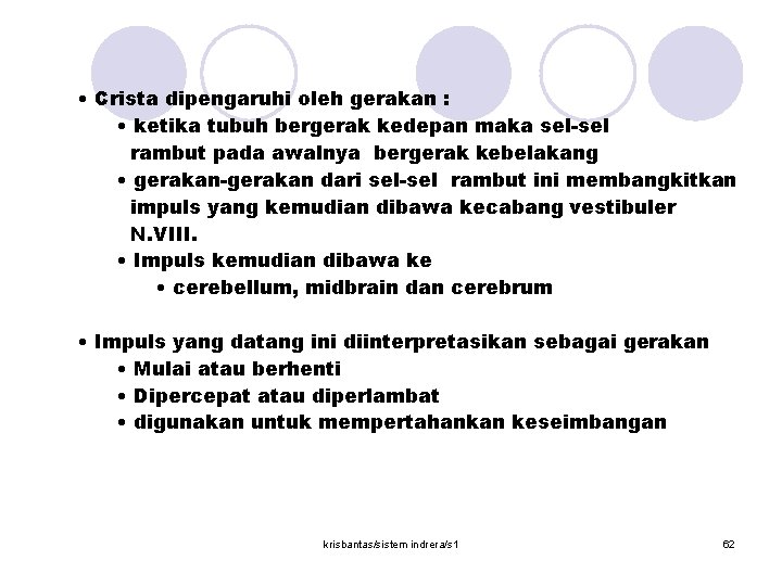  • Crista dipengaruhi oleh gerakan : • ketika tubuh bergerak kedepan maka sel-sel