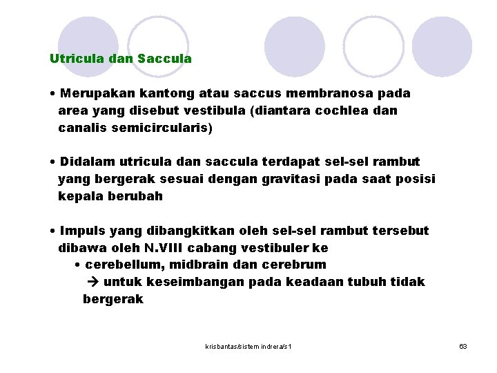  Utricula dan Saccula • Merupakan kantong atau saccus membranosa pada area yang disebut