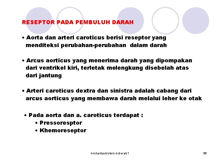RESEPTOR PADA PEMBULUH DARAH • Aorta dan arteri caroticus berisi reseptor yang menditeksi perubahan-perubahan