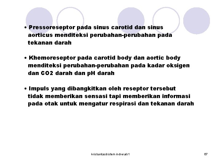  • Pressoreseptor pada sinus carotid dan sinus aorticus menditeksi perubahan-perubahan pada tekanan darah