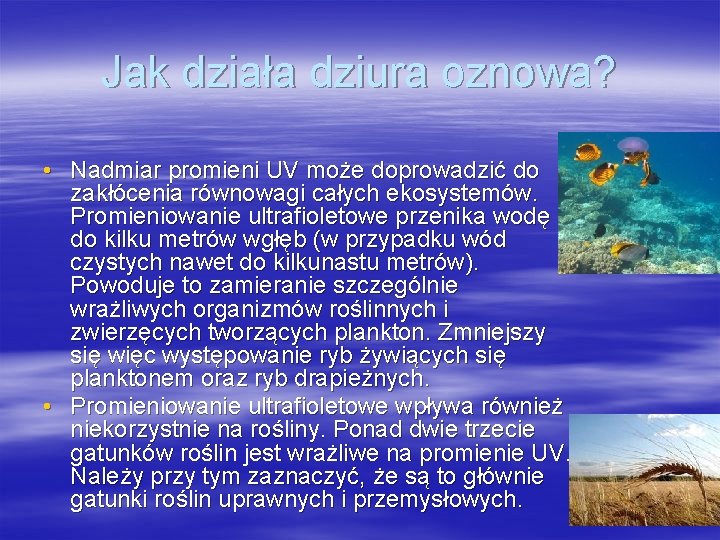 Jak działa dziura oznowa? • Nadmiar promieni UV może doprowadzić do zakłócenia równowagi całych Jak działa dziura oznowa? • Nadmiar promieni UV może doprowadzić do zakłócenia równowagi całych