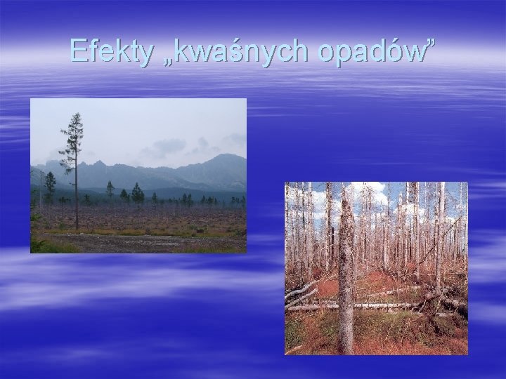 Efekty „kwaśnych opadów” Efekty „kwaśnych opadów”