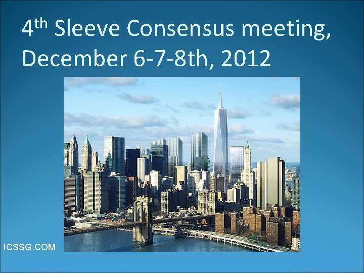 th 4 Sleeve Consensus meeting, December 6 -7 -8 th, 2012 ICSSG. COM 