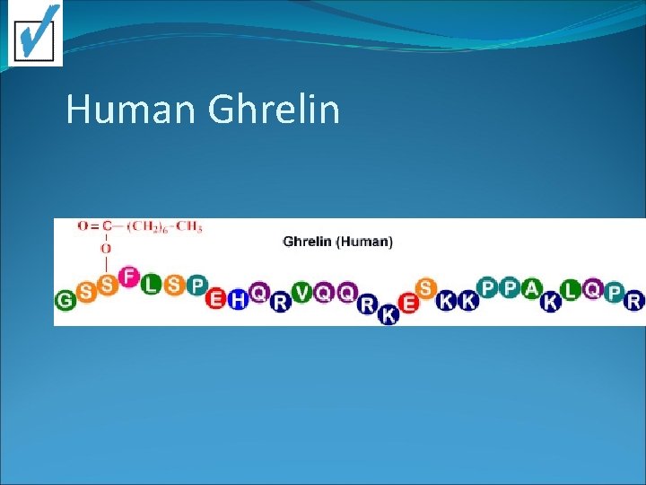 Human Ghrelin 