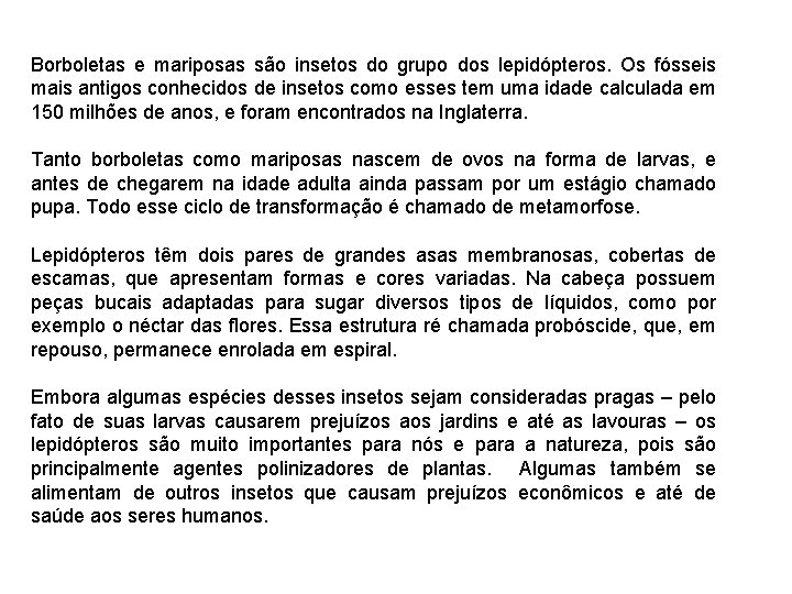 Borboletas e mariposas são insetos do grupo dos lepidópteros. Os fósseis mais antigos conhecidos