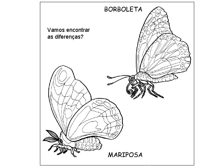 Vamos encontrar as diferenças? 