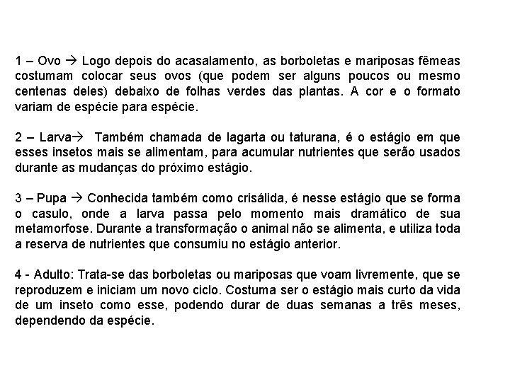 1 – Ovo Logo depois do acasalamento, as borboletas e mariposas fêmeas costumam colocar