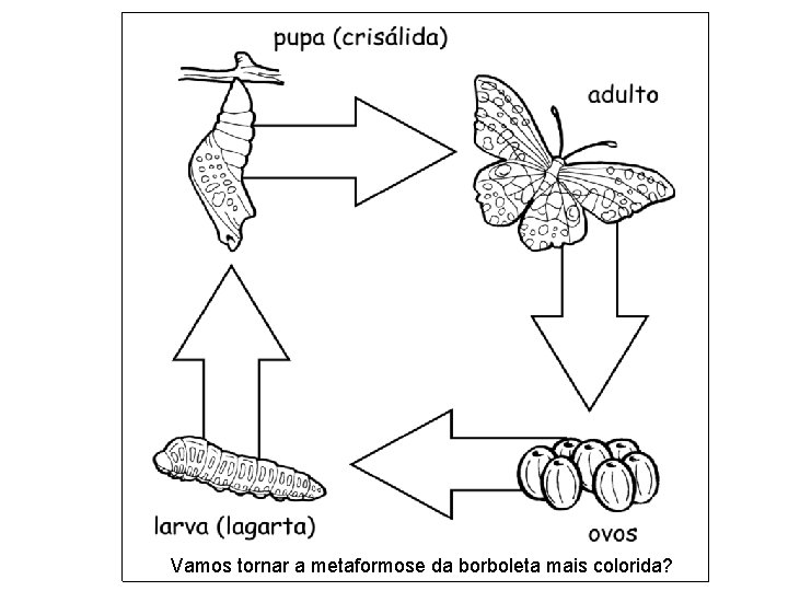 Vamos tornar a metaformose da borboleta mais colorida? 