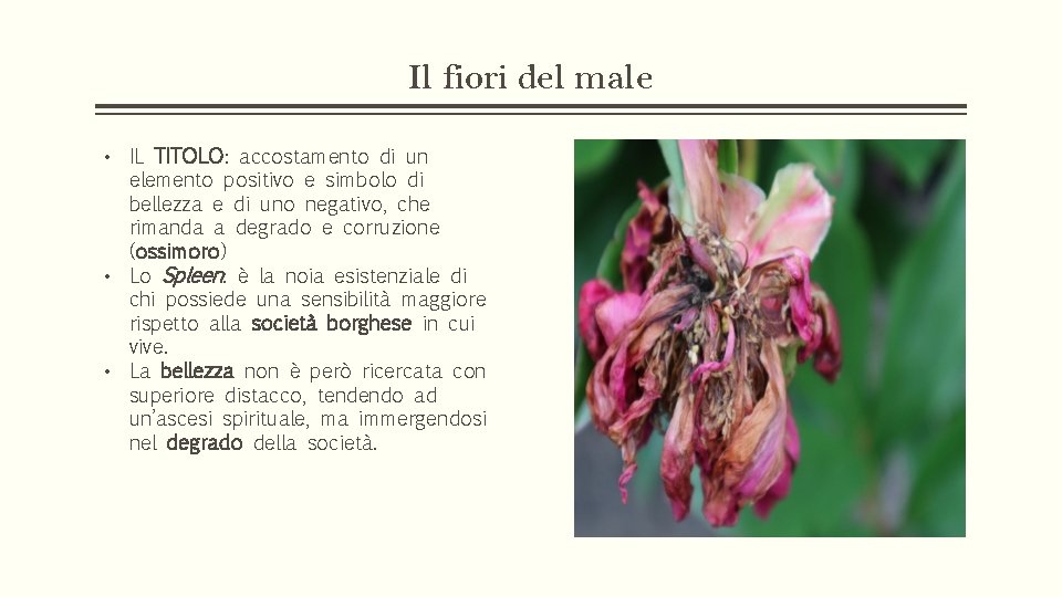 Il fiori del male • IL TITOLO: accostamento di un elemento positivo e simbolo