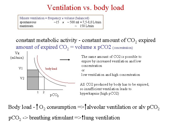 Ventilation vs. body load Minute ventilation = frequency x volume (balanced) spontaneous ~15 x