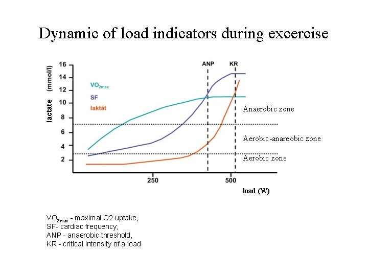 lactate Dynamic of load indicators during excercise Anaerobic zone Aerobic-anareobic zone Aerobic zone load