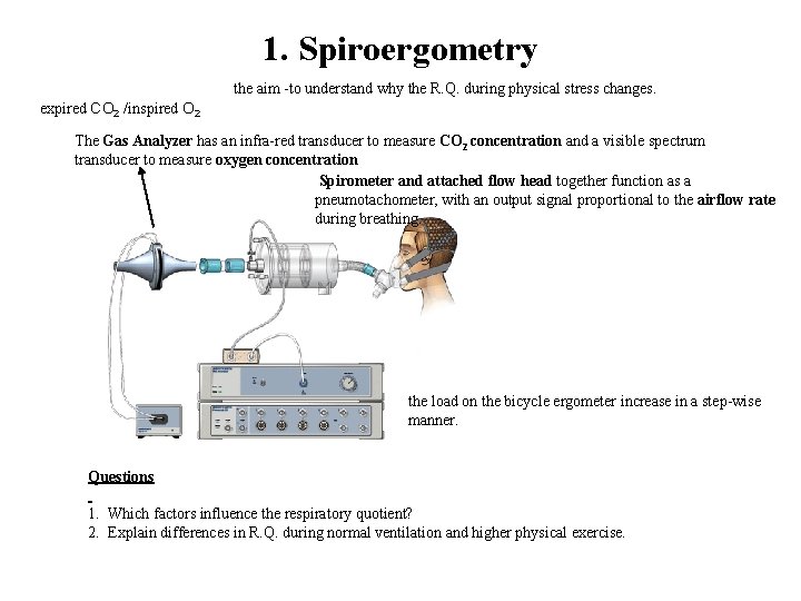 1. Spiroergometry the aim -to understand why the R. Q. during physical stress changes.