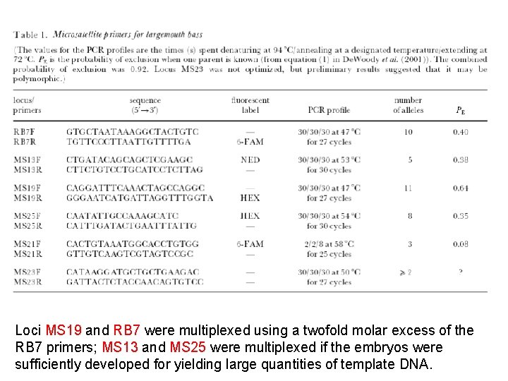 Loci MS 19 and RB 7 were multiplexed using a twofold molar excess of