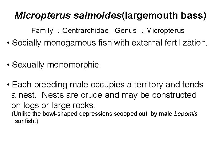 Micropterus salmoides(largemouth bass) Family ：Centrarchidae Genus ：Micropterus • Socially monogamous fish with external fertilization.