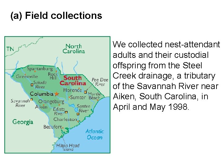 (a) Field collections We collected nest-attendant adults and their custodial offspring from the Steel